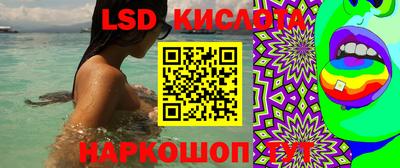 стафф Лесосибирск