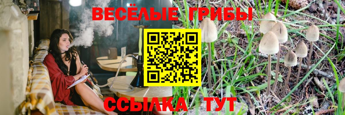 Псилоцибиновые грибы Magic Shrooms Тобольск