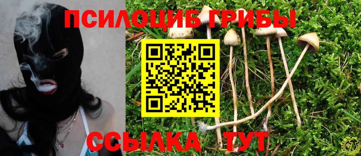 Галлюциногенные грибы мицелий  Галлюциногенные грибы Psilocybe  где можно купить наркотик  Вход с VPN  Тобольск 